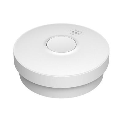 China Silence For 8 Minute Fire Smoke Detector High Quality Standalone Alarm System With Replaceable Battery for sale