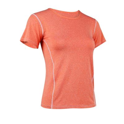 China Lady Quick Dry Breathable Wholesale Gym Yoga Shorts Sleeve Training T-Shirt Sweat Wicking Custom Logo Summer O Neck Sports Stitch Tops for sale