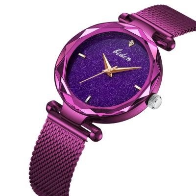 China BIDEN women's purple watch fashion watch quartz sky clasp elegant starry ladies Roman Numeral Watch Ladies Gift for sale