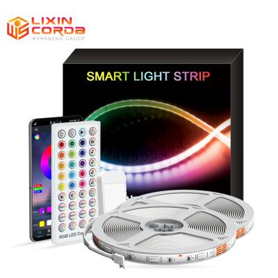 China BT App Music LED Indoor Smart Remote Smart 5050 RGB LED Strip Flexible Waterproof IR Strip Light for sale