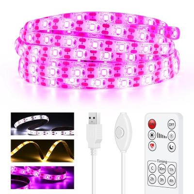 China USB LED Strip Light 5M Indoor Lighting DC 5V LED Lamp Strip Flexible Tape 1M 2M 3M 4M Decorate Desktop TV Screen Backlight Diode Tape for sale