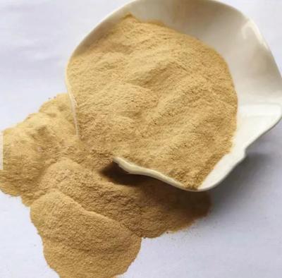 China Mycoprotein Feed Grade Additives Bulk Broiler Poultry Feed Powder MSG for sale