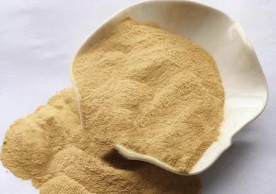 China High Protein Mycoprotein Powder ISO9001 for sale