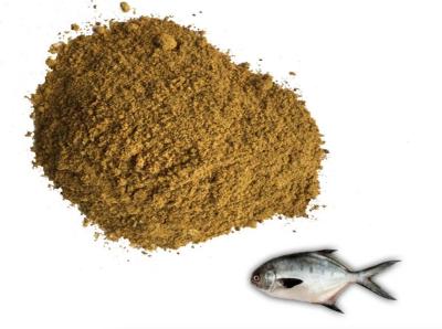 China Powder Pure Fish Meal For Chicken Feed Feather Meal for sale