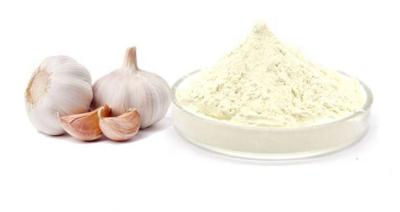 China Garlic Allicin Powder Bulk Animal Feed Additive 50% 90% for sale