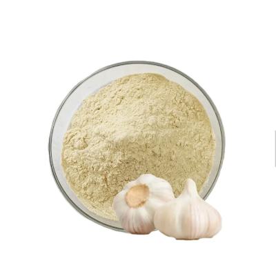 China Dried Garlic Extract Allicin Powder 25% 30% 50% Broiler Chicken Feed Additives for sale