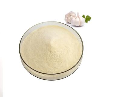 China Poultry Aqua Shrimp Natural Feed Additives Garlic Allicin Powder 25% for sale