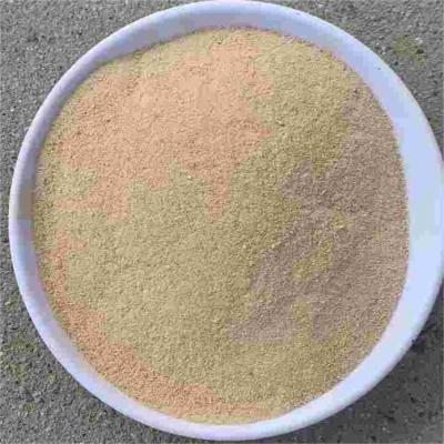 China Feed Supplement to Strengthen Immune System with Yeast Powder for Poultry for sale