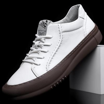 China Fashion Trend Wholesale High Quality Fashion Casual Shoes Genuine Leather Walkingshoes For Men for sale