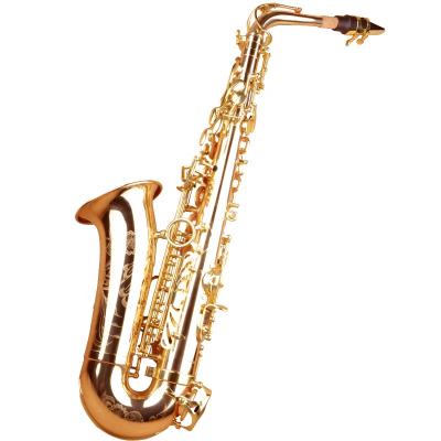 China 2022 Gold Lacquer--Professional Performance of Brooks Saxophone e Alto Saxophone for sale