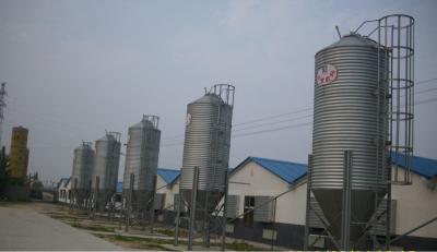 China Galvanized Feed Silo for Poultry Farm for sale