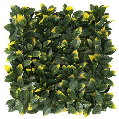 China Wall Decoration 50*50cm Anti-UV Plastic High Quality Artificial Hedge Boxwood Panels Green Plant Vertical Garden Wall Outdoor Decorate for sale