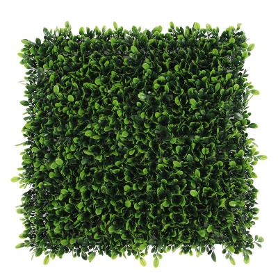 China Wall Decoration 50*50cm UV Plastic High Quality Artificial Hedge Boxwood Panels Green Plant Vertical Garden Wall For Indoor Outdoor Decoration for sale