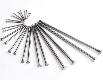 China Platinium Flat Head Stainless Steel Smooth Ring Shank Framing Nails 3 Inch Stainless Steel Deck Nail Joint Nail for sale