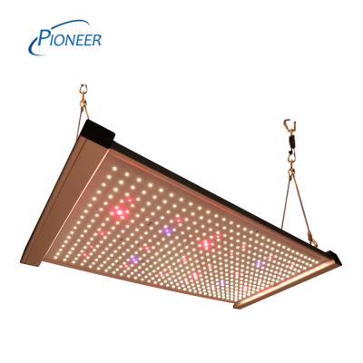 China Seed Starting Plant Light Led For Growing Light Indoor Plant 240W For Medical Farm And Greenhouse for sale