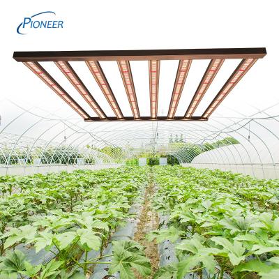 China Seed Starting LED To Grow Light Full Spectrum With Control For Plants Seedlings Flower Indoor Grow Box for sale