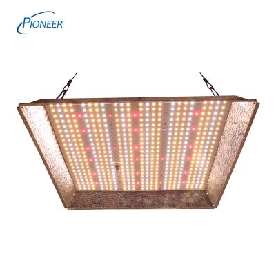 China Seed starting 240 watt dimmable lm301b led indoor LED grow light 330w growlights for sale