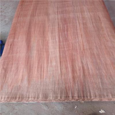 Cina PLB veneer for door skin/0.3mm PLB wood veneer sheet for plywood in vendita