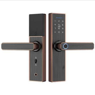 China 2021 Wifi BOKUN Digital Smart Electric Door Lock Locks For Hotel for sale