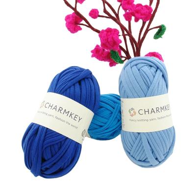 China Lovely viable Charmkey T-shirt yarn crochet yarn for handbag zpagetti spaghetti knitting yarn for sale