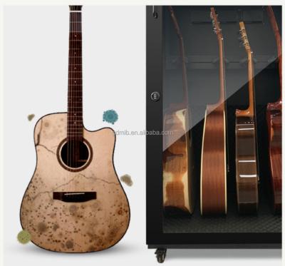 China NABOXSUN CDD400 Car Camera Guitar Cello Violin Dry Humidification Cabinet For Instrument for sale