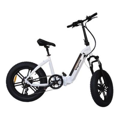 China OEM Aluminum Alloy Foldable Girl's Electric Bicycle 36V 10Ah 350W Motor City Ebike 20Inch Light Electric Big Helper Bike for sale