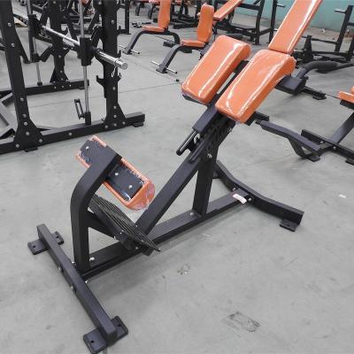 China Extension Roman Chair Fitness Center Fitness Gym Equipment Back Machine for sale