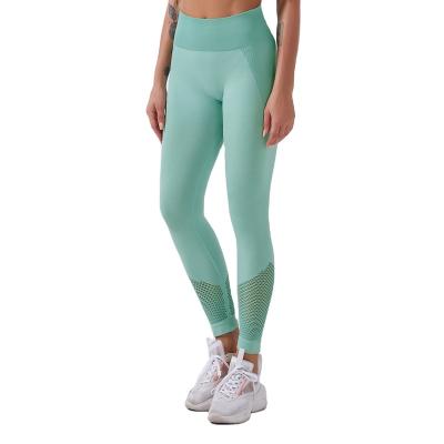 China Delivery Domestic Women's Fitness Breathable Pants With Wholesaler for sale