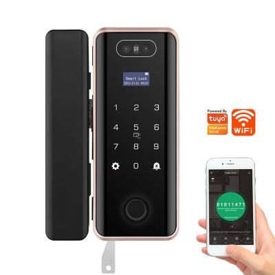 China Aluminum alloy/ABS WIFI TUYA Biometric Fingerprint Face Facial Recognition Password RFID Card Office Wooden Smart Glass Door Lock With Key for sale