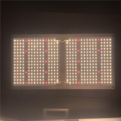 China Seed Starting Figolite Prewired Led To Grow Light 220W 240w V4 Lm301h With 660nm IR UV Led Grow Board for sale