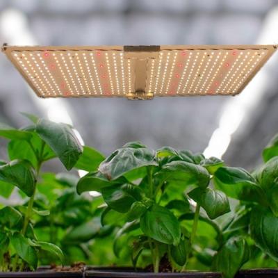 China Seed Starting HuanXu 2022 220W 240W Lm301h With 660nm IR UV Switch Led Board Grow Light for sale