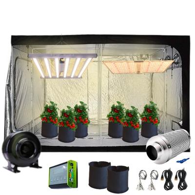 China LM301B Board Full Spectrum QB288 240W 480W 800W COB Starting Seed LED Grow Light Board With 660nm LED Grow Light for sale