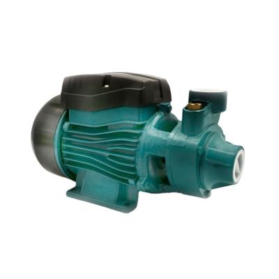 China Other QB60 Electric Clean Water Vortex Water Pump 220V for sale