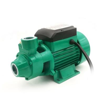 China Family homes cooper qb60 outdoor coiling electric water pump 100% for sale