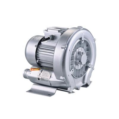 China Aluminum Multifunction Electric Inflatable Ring Blower Fan For Industrial for sale