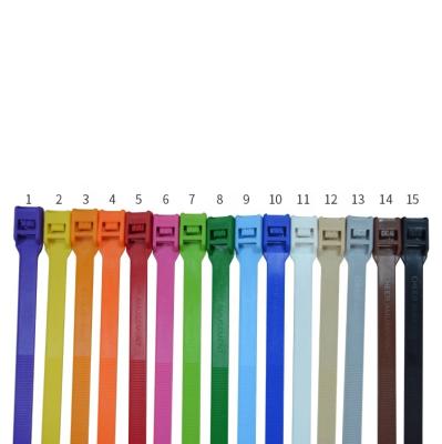 China Indoor Super Quality Nylon Cable Tie Accessory Flame-Retardant Playground Zip Ties Self-Locking Ties for Fixing and Tethering for sale