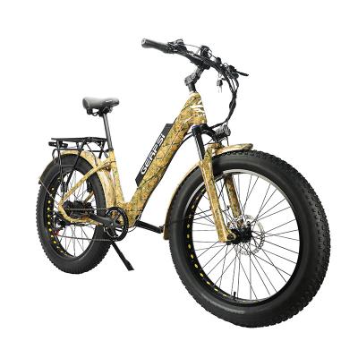 China Aluminum Alloy Blj Electric Bike For Men And Women 350w With Charger Lithium Ion Ebike 60v 20ah Electric Bike Battery for sale