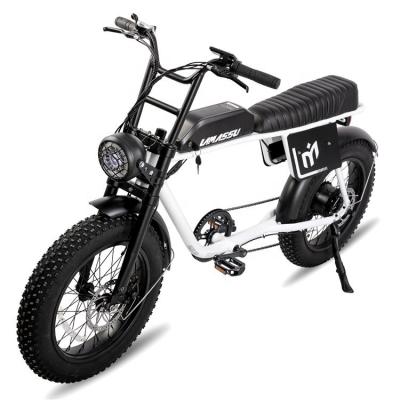 China BAOLUJIE DS2040 Aluminum Alloy OEM Supported 500W 750W 1000W 48V 72V 20 Inch Fat Tire Electric Bike for sale