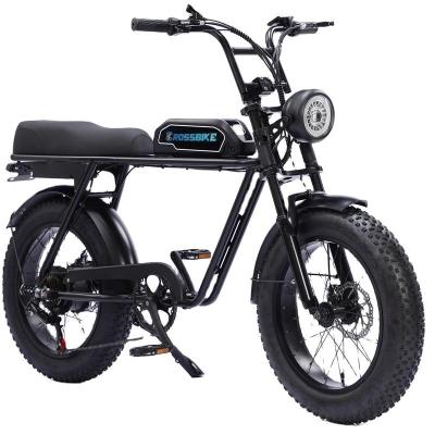 China BAOLUJIE DS2036 Aluminum Alloy High Performance Retro Tire Ebike Electric Fat Bike 48V 500W 15AH Motor For All Adult for sale