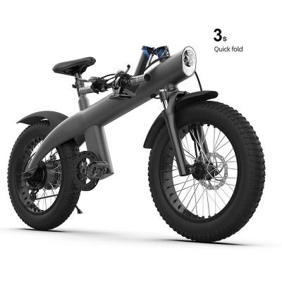 China BLUE DZ-3289 aluminum alloy dirtbike carbon fiber electric bike 48v 1000w electric bike for adult 20 inch big tire for sale