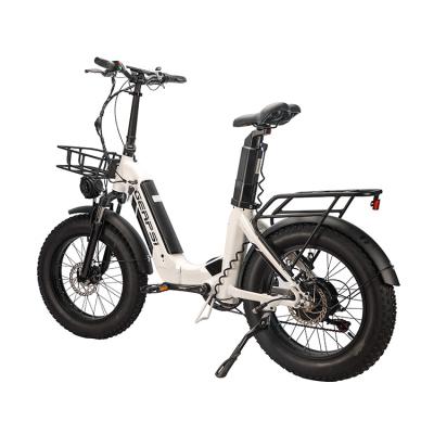 China Aluminum Alloy Factory Sale Aluminum Alloy Double 48V/16AH Battery Disc Brake Waterproof Electric Bike for sale