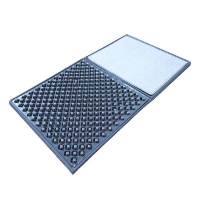 China 2022 hot sale non-slip anti-slip mat entrance anti-slip disinfection gummed finger mat for homeuse new product disinfection for sale