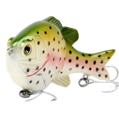 China Vivid Fish Action Grazy Swimming Fishing Lure Hard Baittwo Common Jake 20cm Multisection Fishing Lure 50g for sale