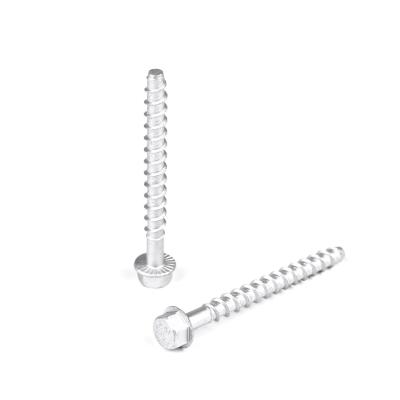 China Contact Customer Service for Customized Support Stainless Steel Concrete Screw Anchors for sale