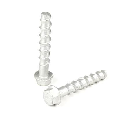 China Stainless Steel Flange Hex Masonry Anchor Screws for Guardrail Fixing Tornillos Bolt for sale