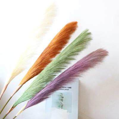 China Decoration For Wedding And All The Reed Bulrush Artificial Pampas Grass Fake Pampas Grass Second Hand Shop Wholesale Hotel Home Decorative Flowers for sale