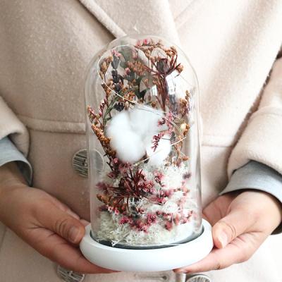 China Christmas Gift New Products Mini Glass Greenhouse Preserved Glass Dome Cover Cotton Glass Dome Flower Flowers for sale