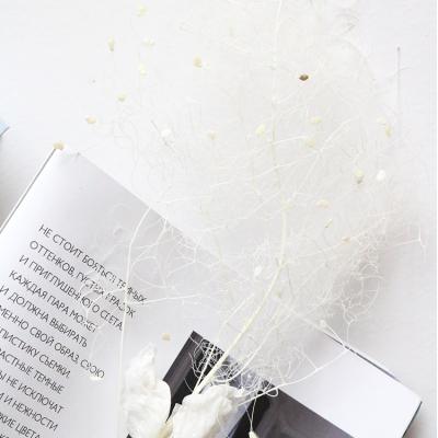 China Natural Touch 2021 New Products Preserved Flowers Mist Lovely Lover Home Decoration for sale