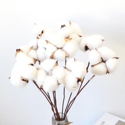 China Hot Sale 10 Bouquet 2020 Pcs Cotton Colorful Flower Bouquet Dry Flowers for sale