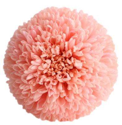 China Decoration for wedding and all second hand new product 5-6cm natural everlasting flower heads ping pong preserved chrysanthemum for sale